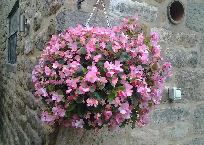 Apartman The Threshing Barn